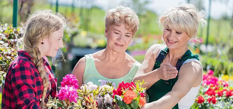 country club dental crowns coconino flagstaff - three people looking at flowers