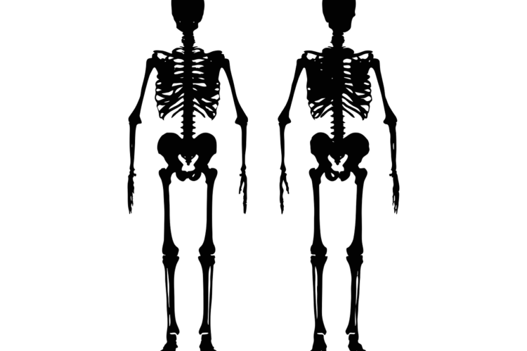 osteoporosis and oral health