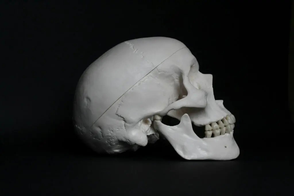 white skull on black background