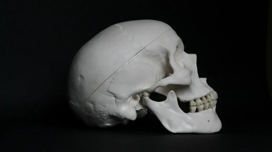 white skull on black background