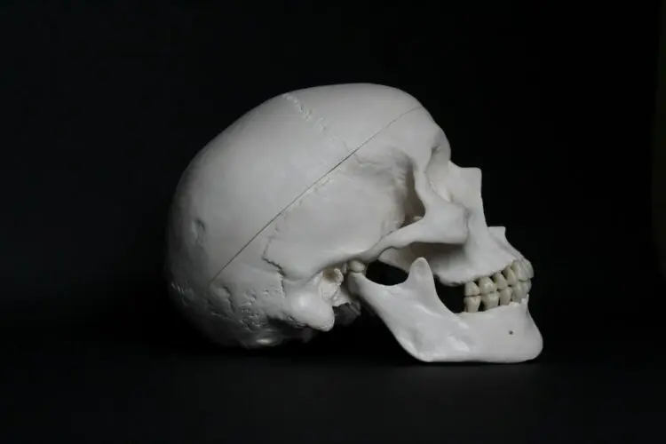 white skull on black background