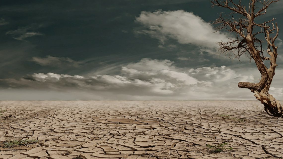 Causes of Dry Mouth - dry and crackling desert, blue sky with a few clouds and a barren tree.