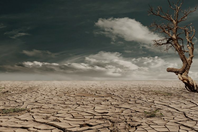 Causes of Dry Mouth - dry and crackling desert, blue sky with a few clouds and a barren tree.