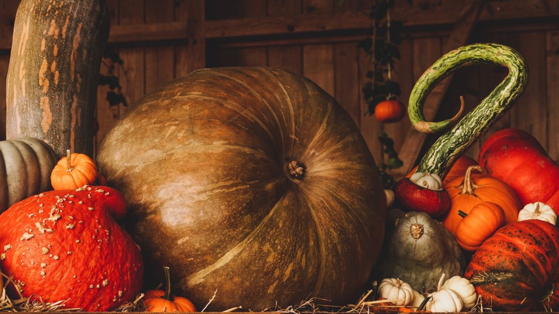 healthy Halloween tips - still life pumpkins