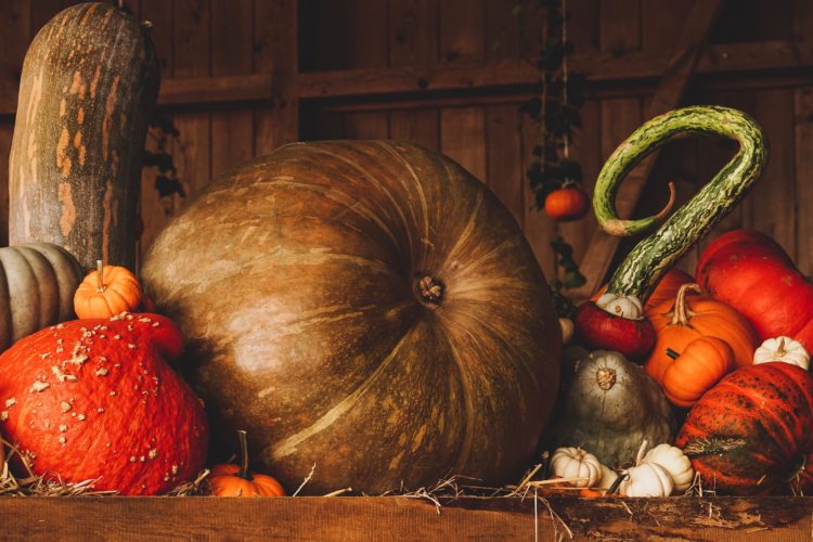 healthy Halloween tips - still life pumpkins